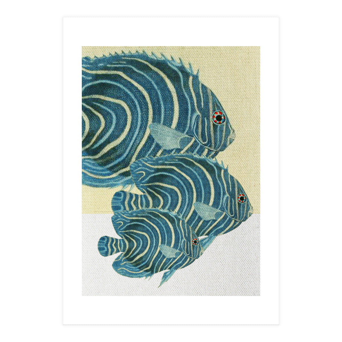 Fish Classic Designs 9 (Print Only)