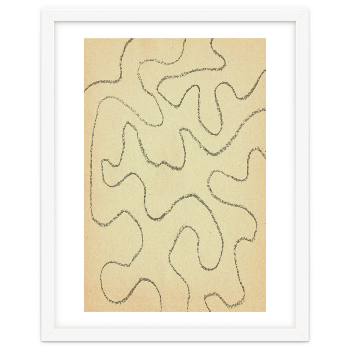 Abstract organic lines