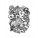 Medley Of Mushrooms (Print Only) thumbnail