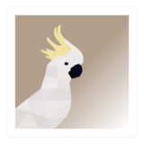 Cockatoo Bird Low Poly Art (Print Only) thumbnail