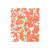 Bougainvillea Blush (Print Only) thumbnail