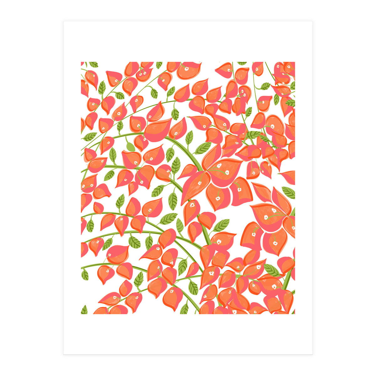 Bougainvillea Blush (Print Only)