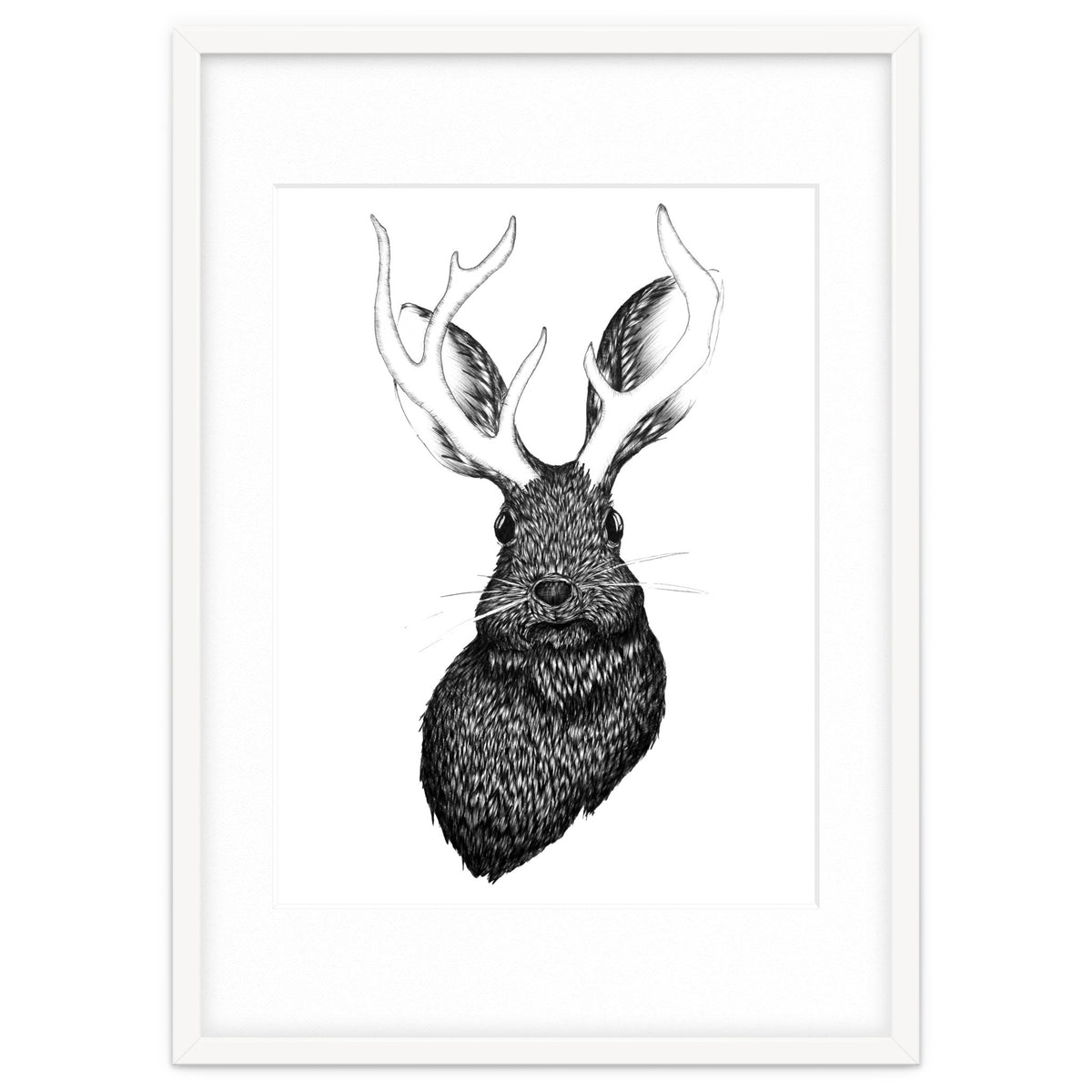 Jackalope