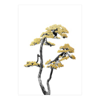 Bonsai Tree 06 (Print Only)
