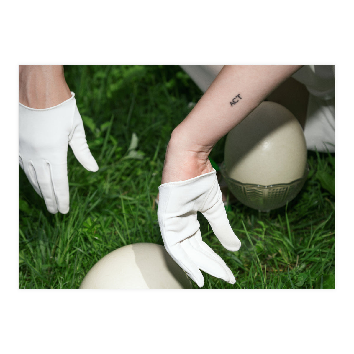 Dinosaur Inside (Print Only)