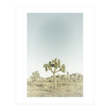 Vintage Joshua Tree  (Print Only) thumbnail