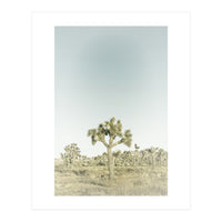 Vintage Joshua Tree  (Print Only)