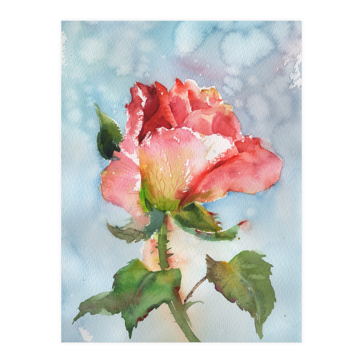 Beautiful Rose Watercolor (Print Only)