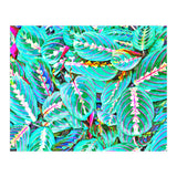 Let's find a beautiful place to get lost (Print Only) thumbnail