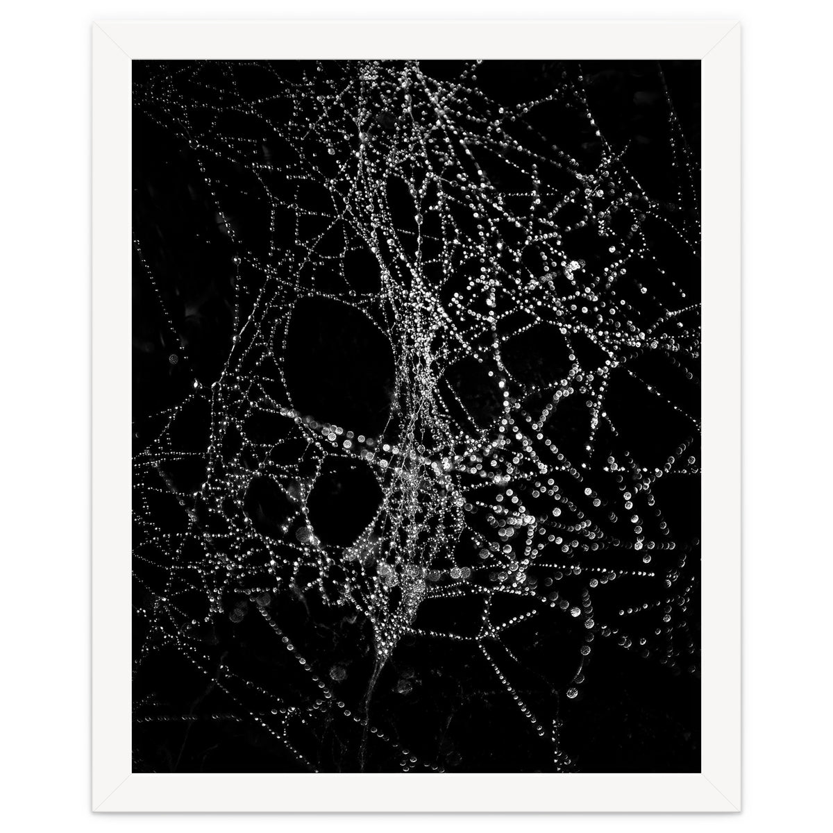 Spiderweb No 4