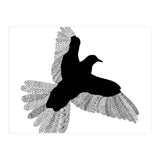 Bird White (Print Only) thumbnail