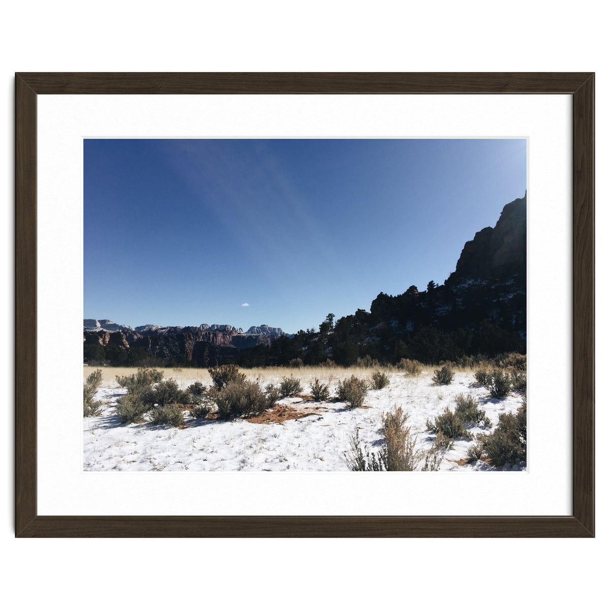 Zion National Park II