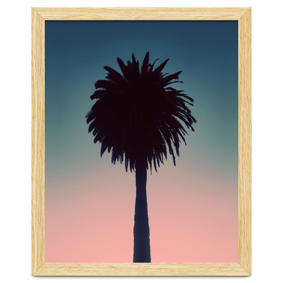 Sundown Palm