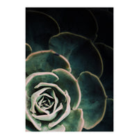 Darkside Of Succulents 4-C (Print Only)