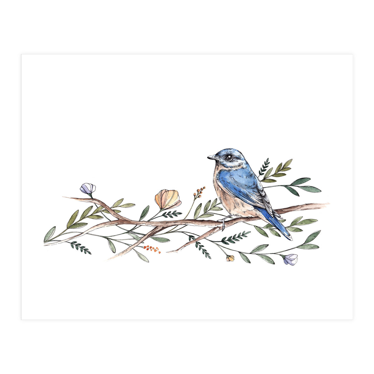 Bird on Branch (Print Only)