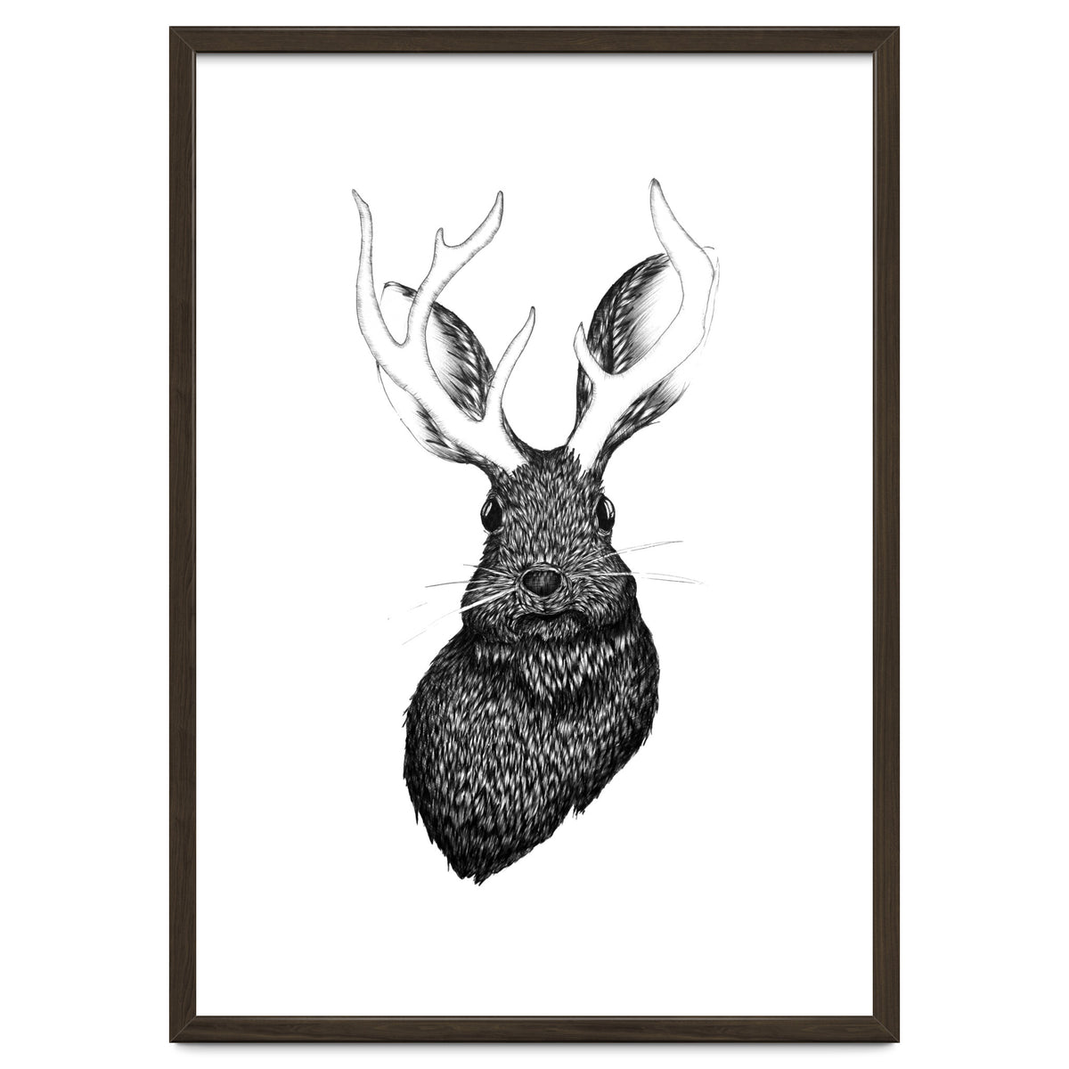 Jackalope