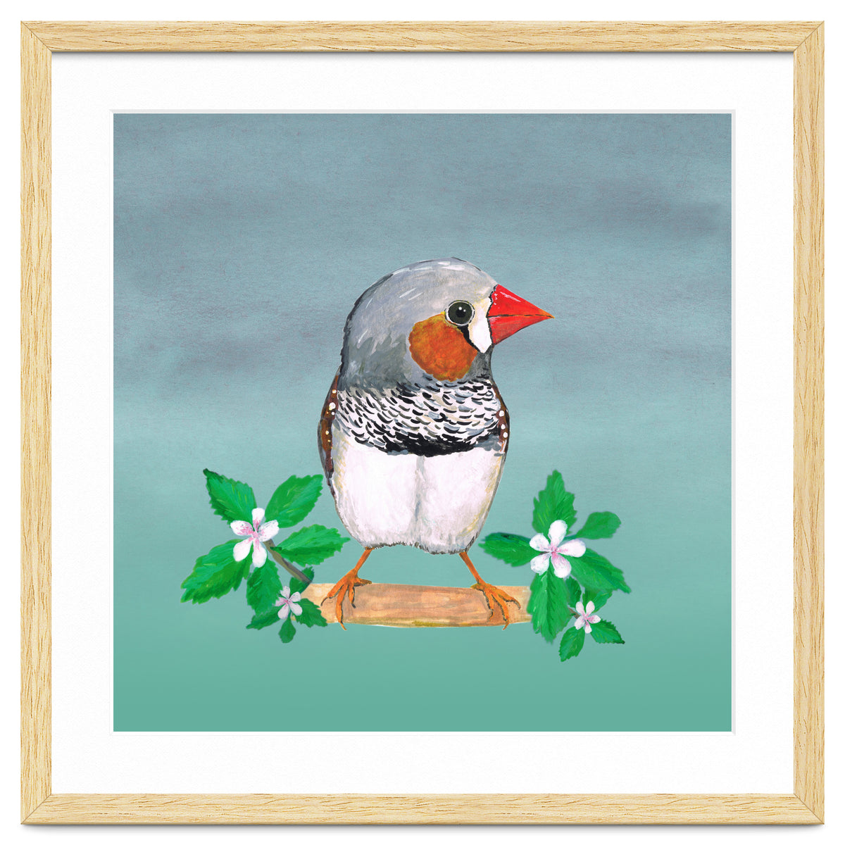 Zebra finch