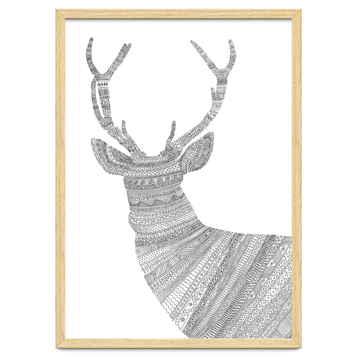 Stag 2