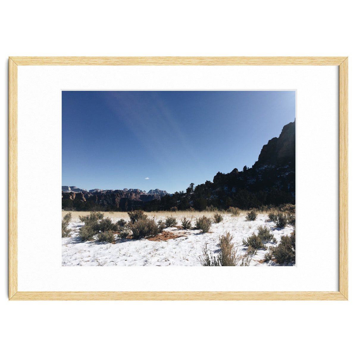 Zion National Park II