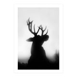 roar (Print Only) thumbnail