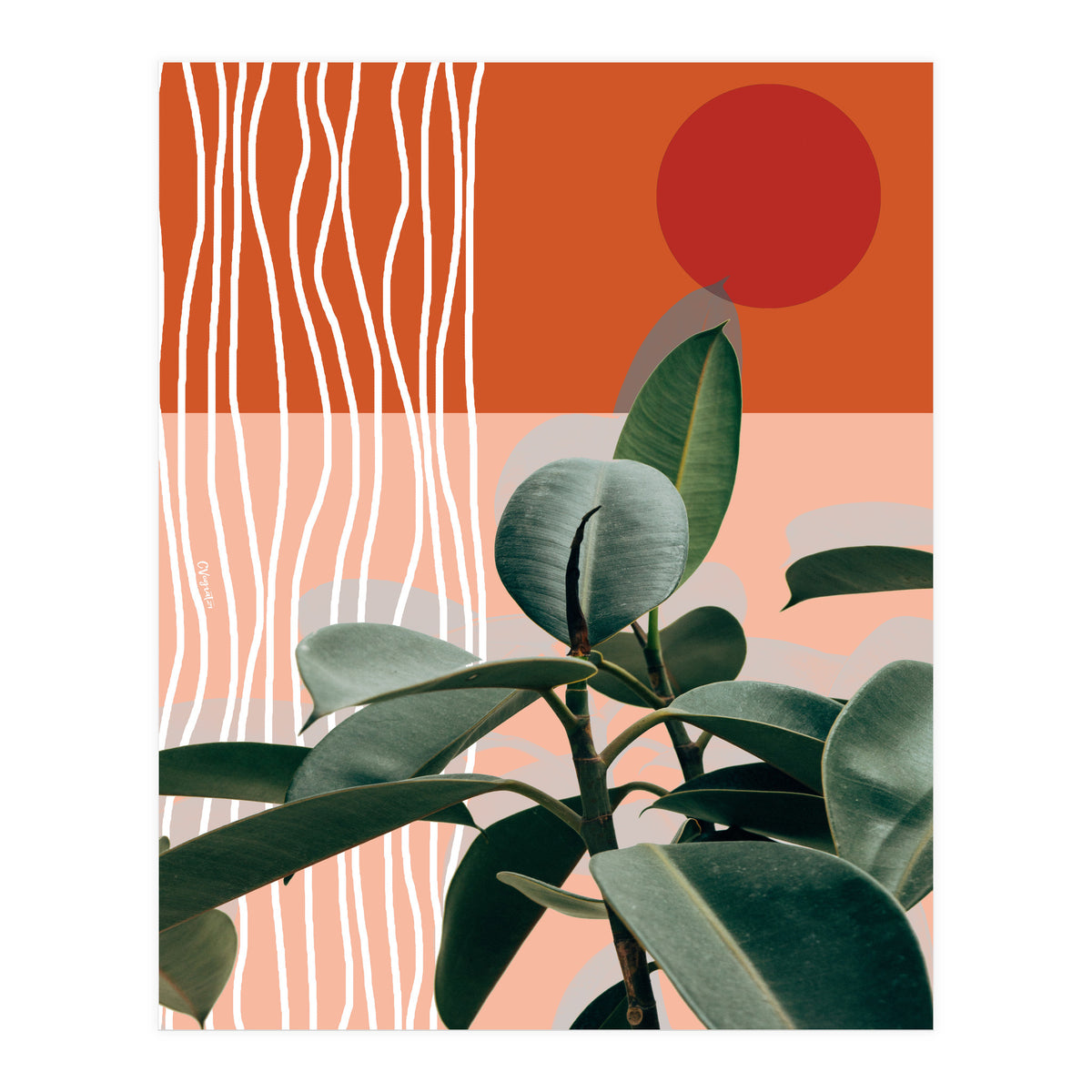 Times of a Growing Plant (Print Only)