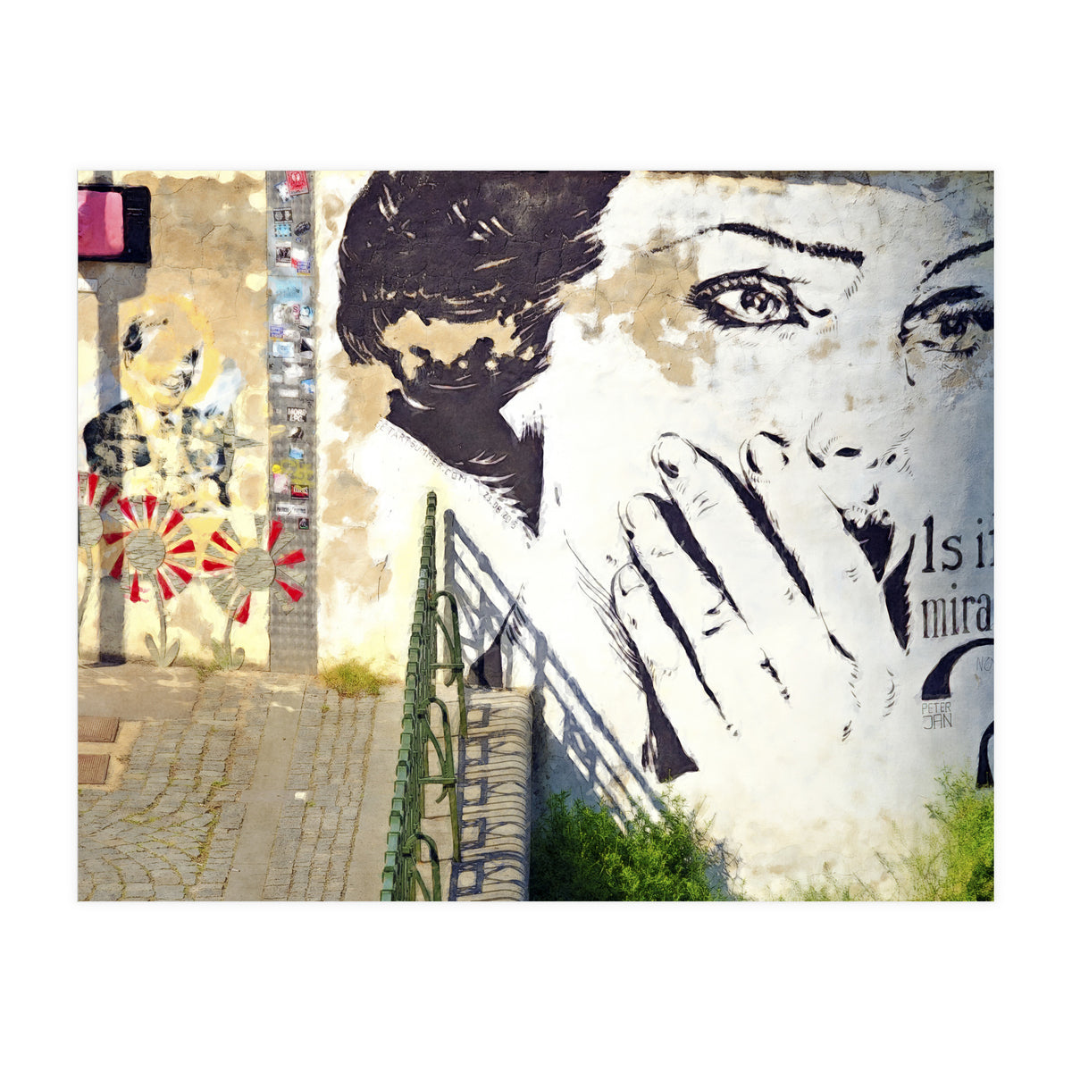 Beauty of decay (Print Only)