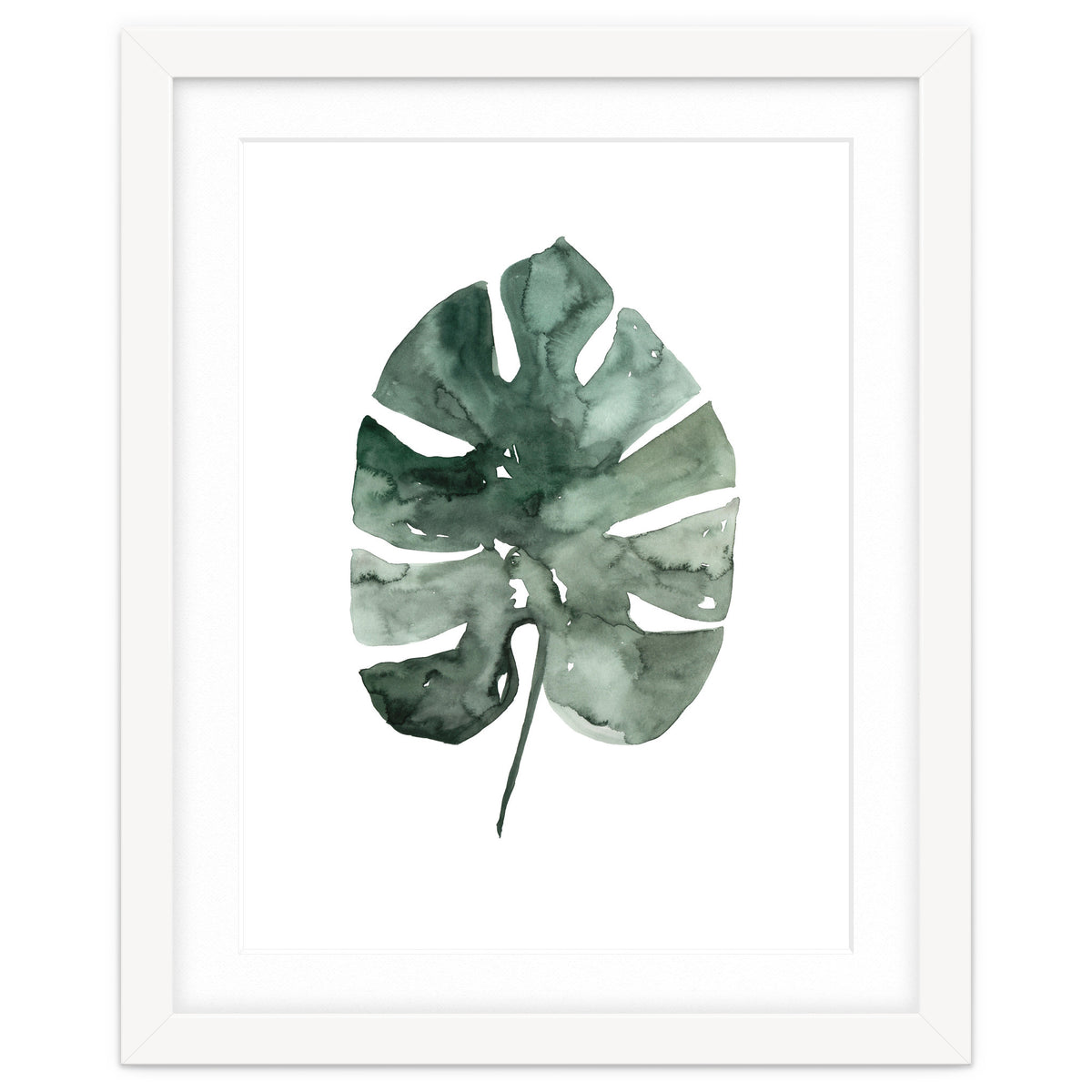 Botanical Illustration Monstera Leaf