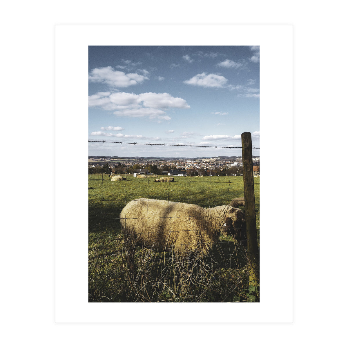 Bucolism 5 (Print Only)