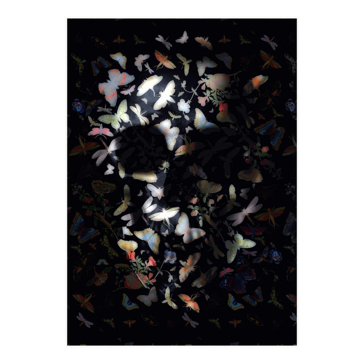 Butterfly Skull (Print Only)