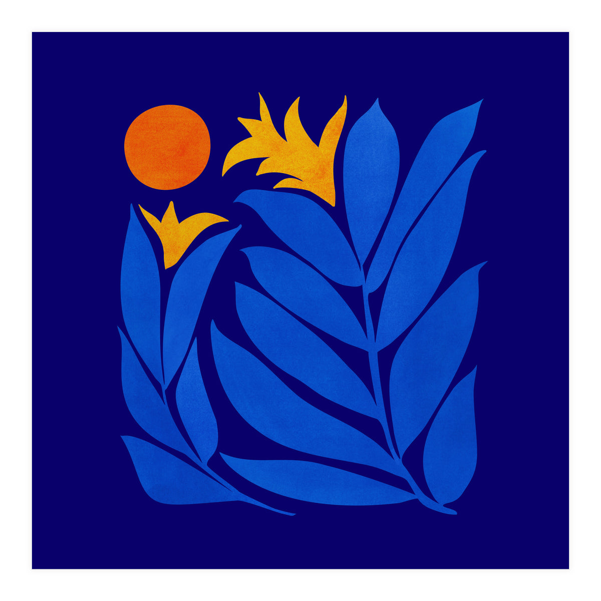 Community Garden At Night (Print Only)