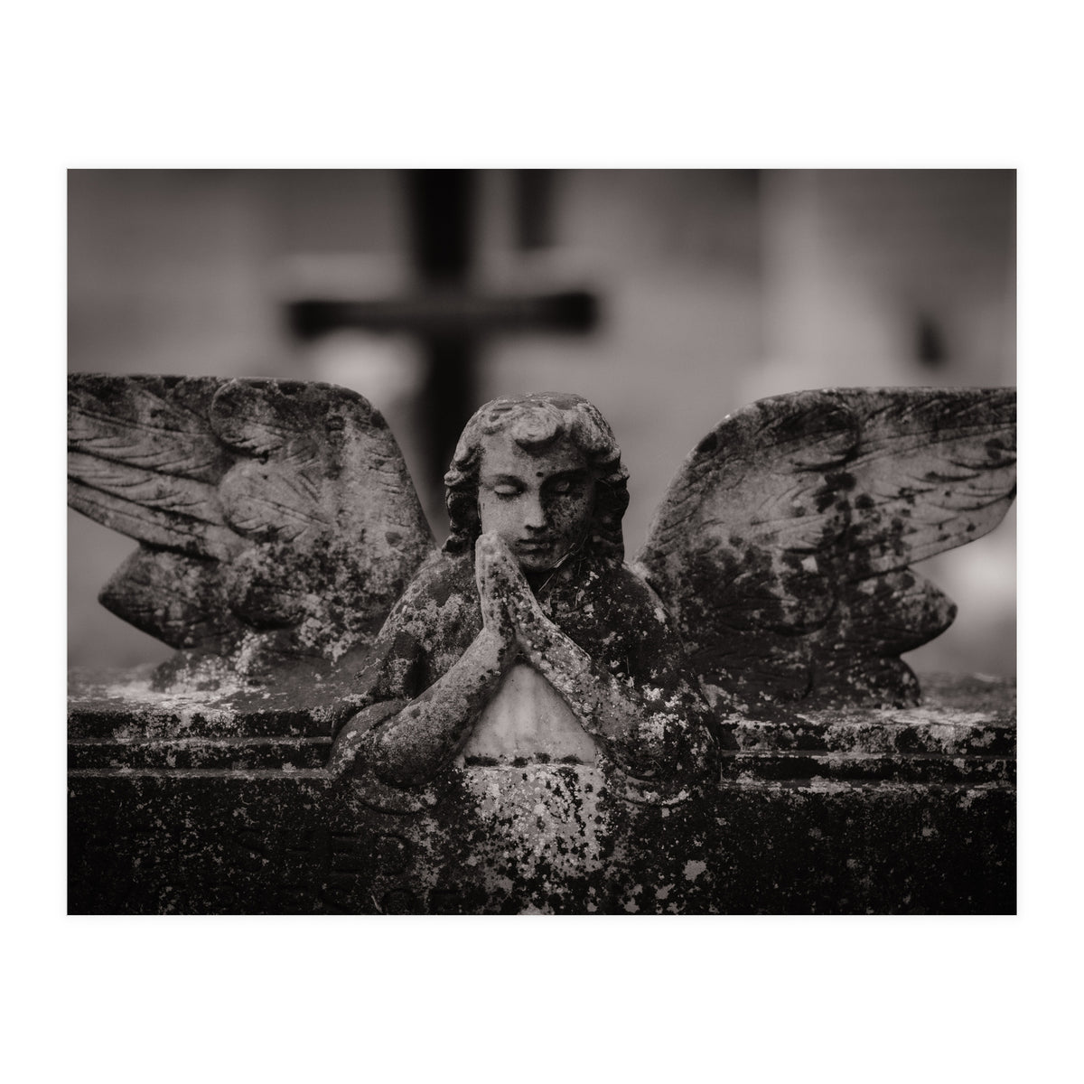 Winged Angel (Print Only)