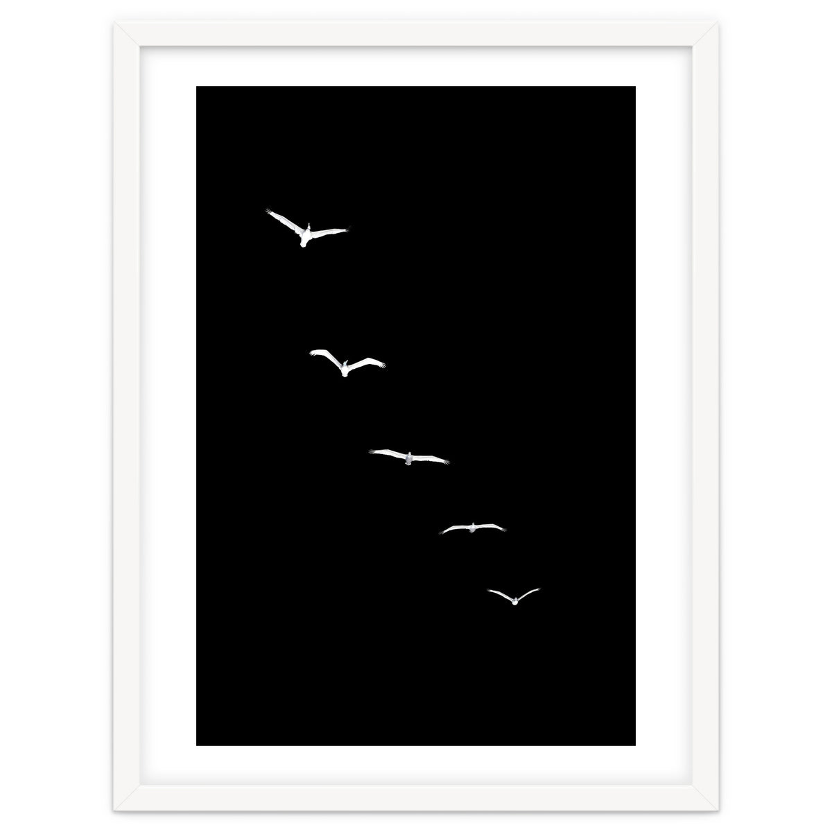 Heavenly Creatures Dark