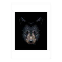 Shadows grizzly (Print Only)