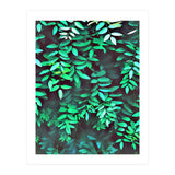 Greener (Print Only) thumbnail
