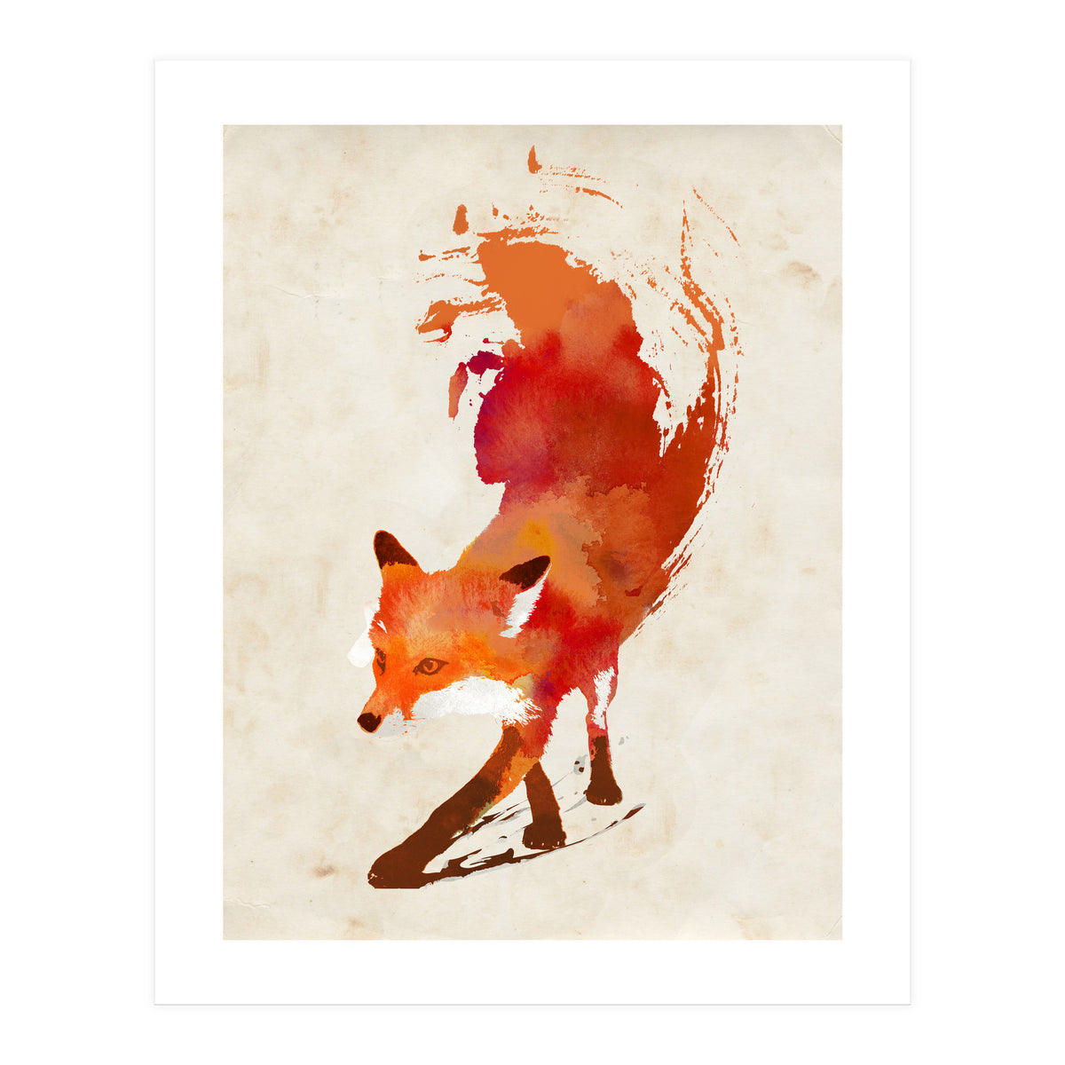 Vulpes Vulpes (Print Only)