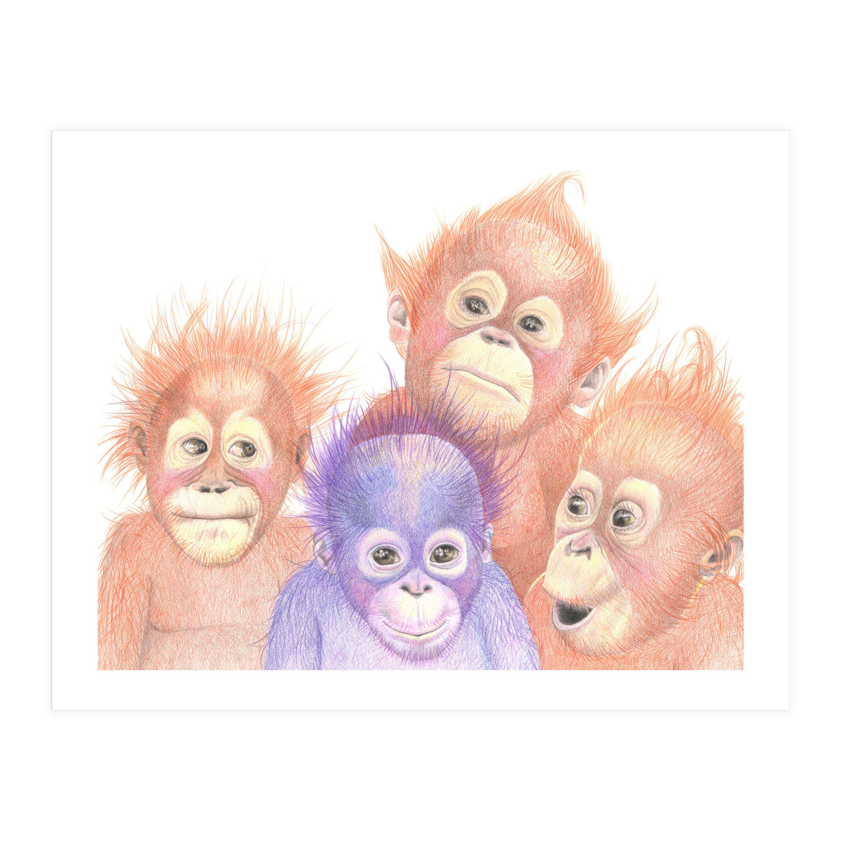Orangutan Babies (Print Only)