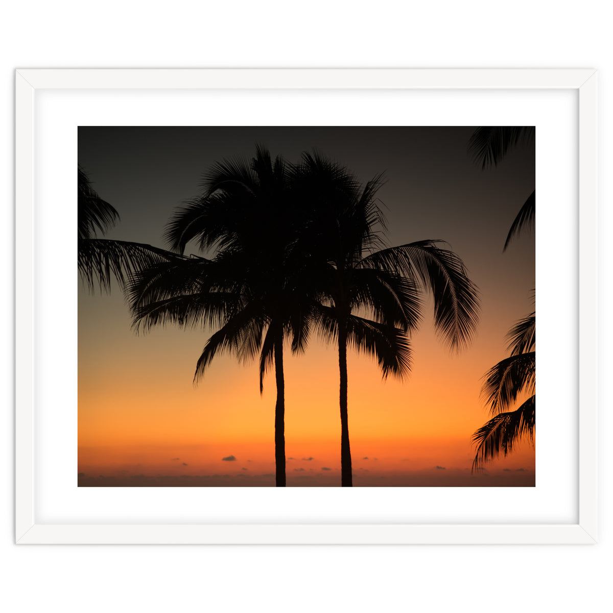 Mexico, November nights