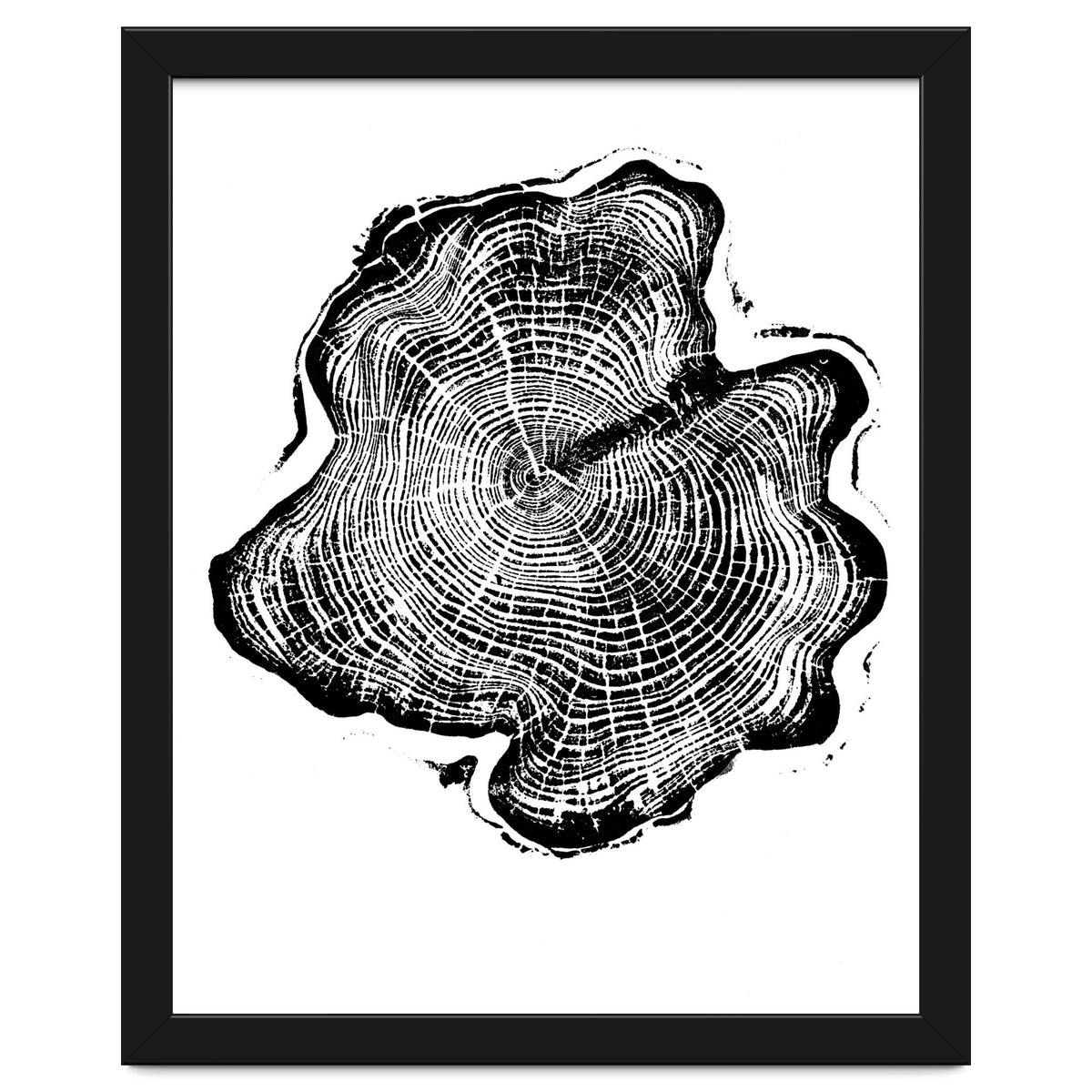 Alaskan Cypress, Tree Ring Art Print, Woodblock