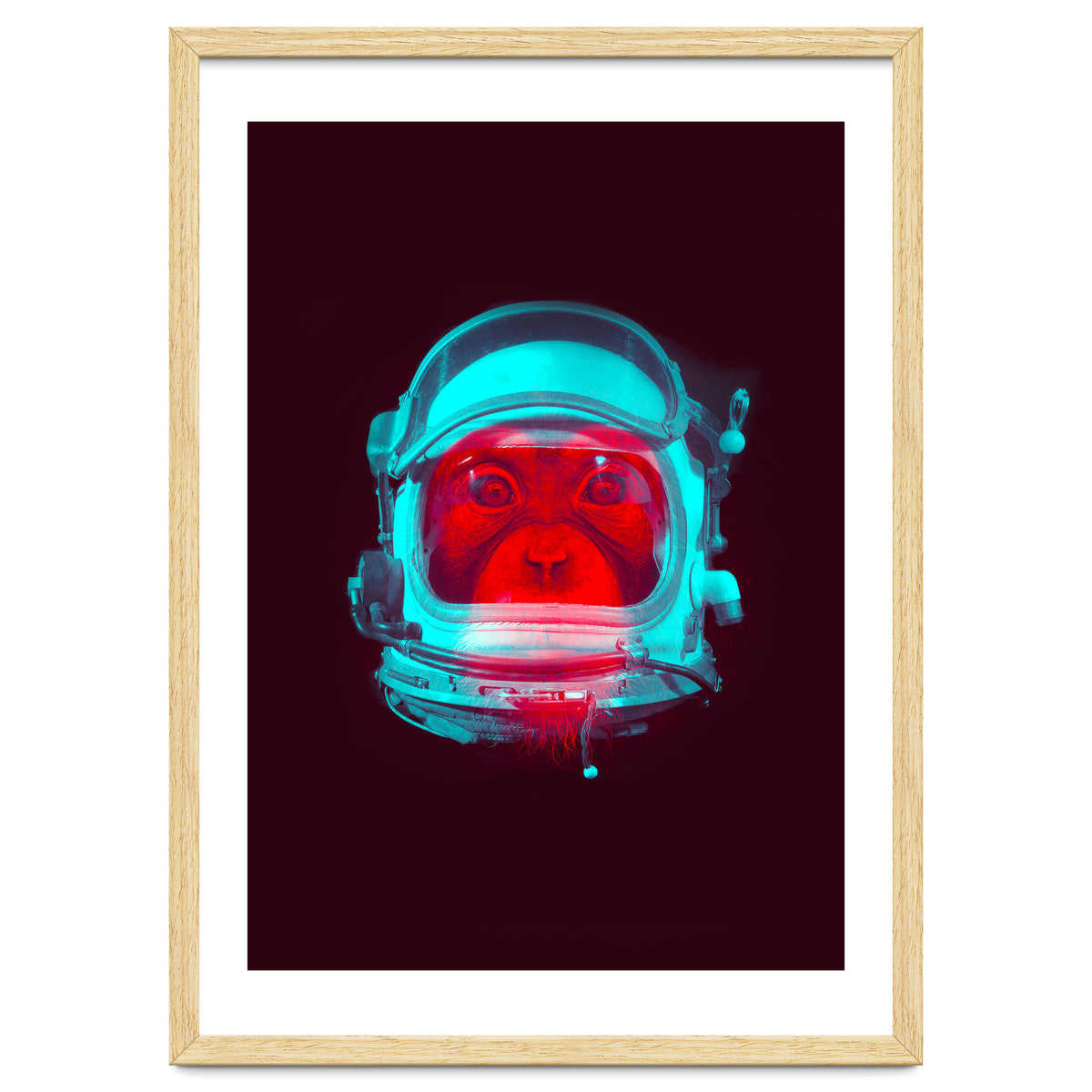 Astronaut