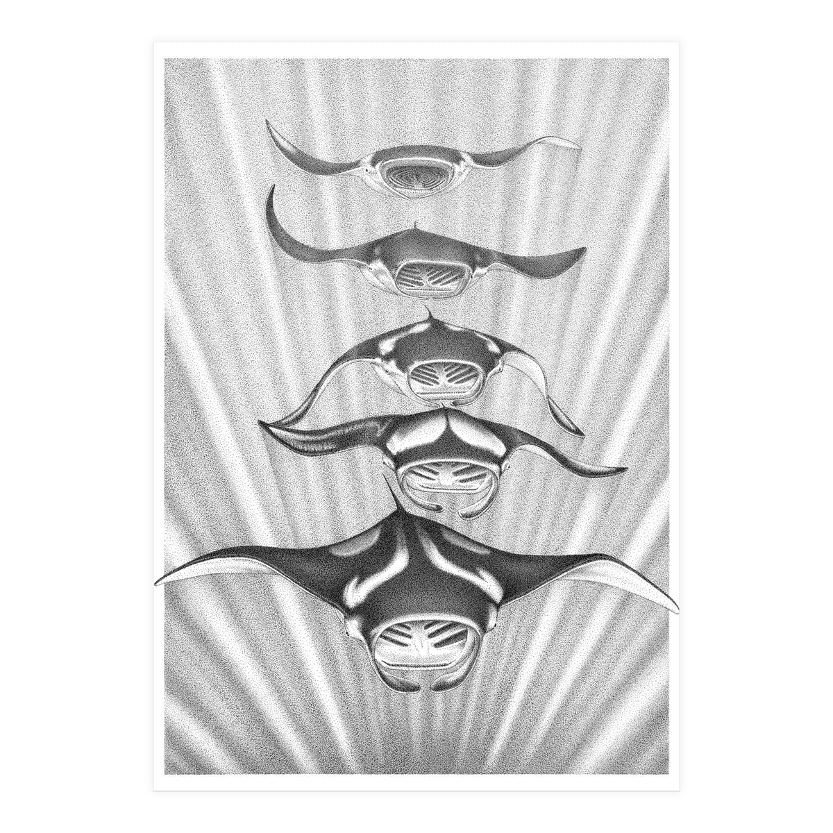 Manta Train (Print Only)