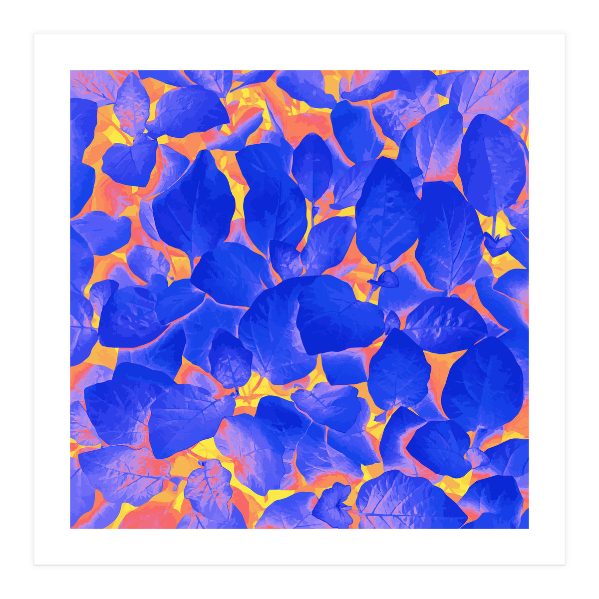 Supercontrast (Print Only)