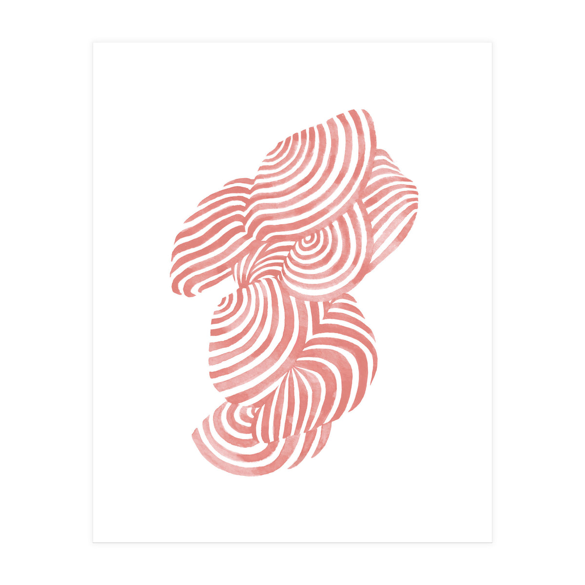 Seashells (Print Only)