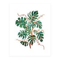 Monstera Deliciosa (Print Only)