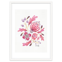 Protea | Floral Pink