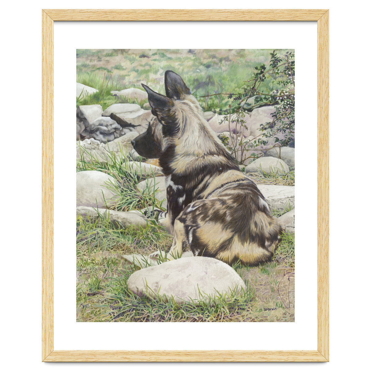 African Painted Dog I