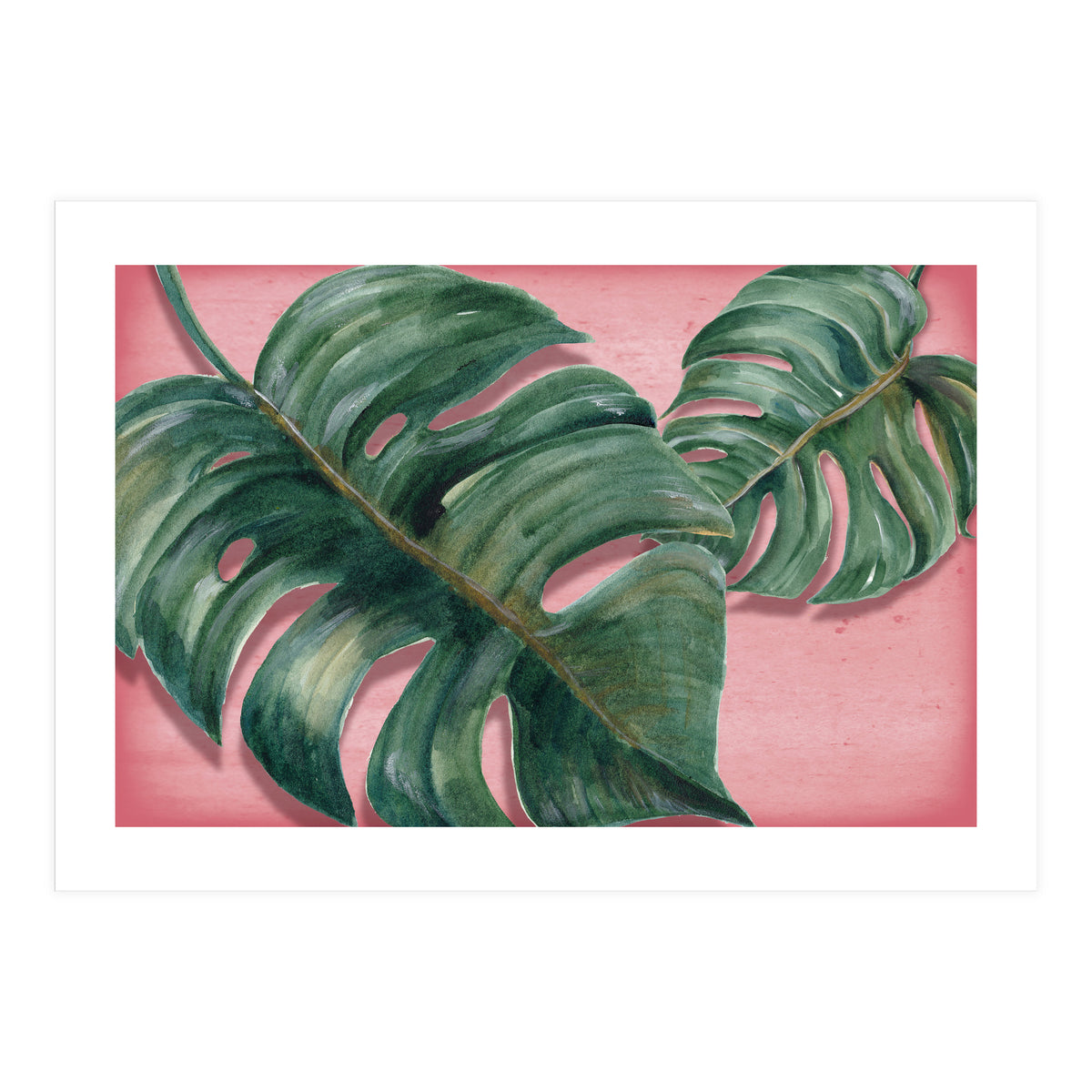 Monstera Leaf (Print Only)