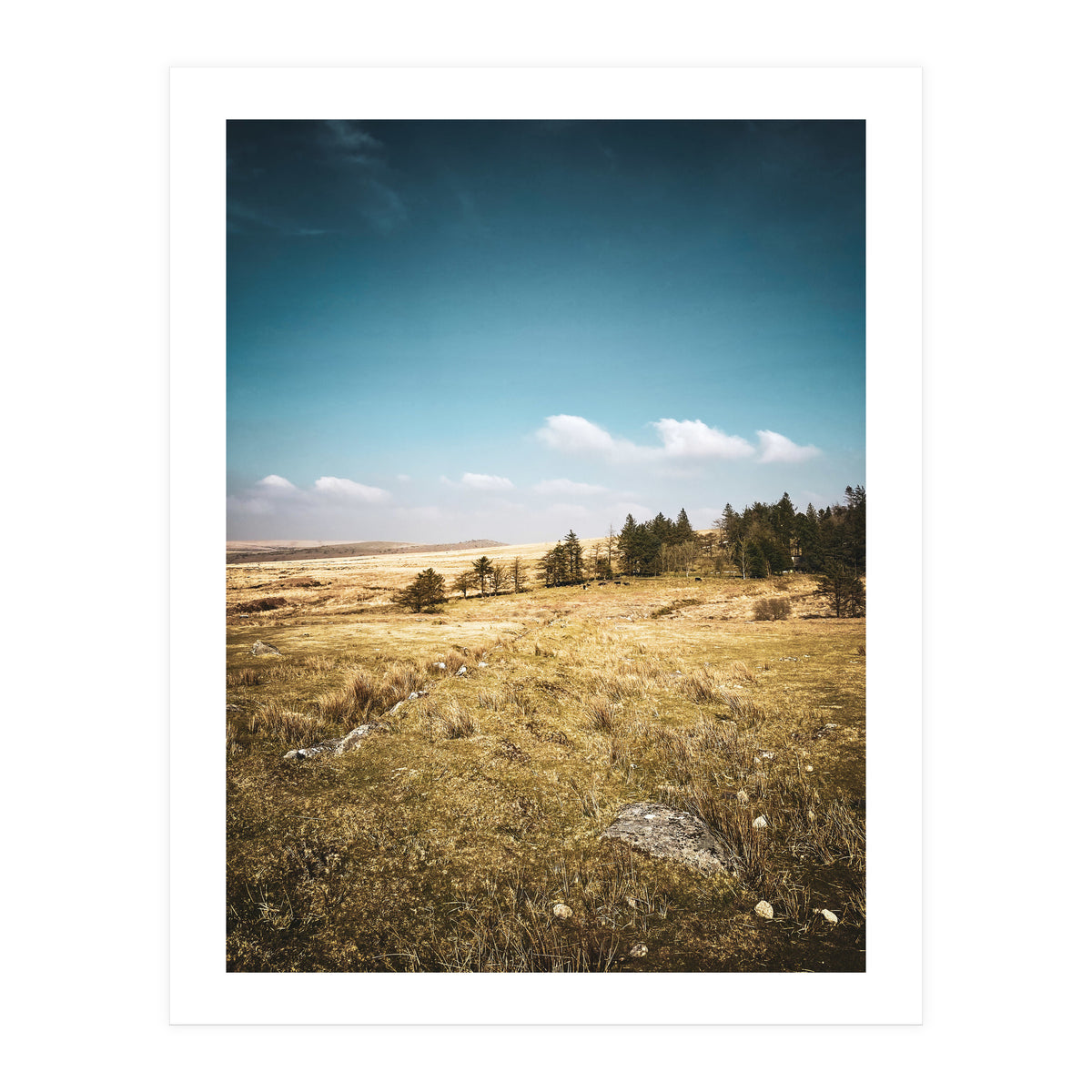 Dartmoor  (Print Only)