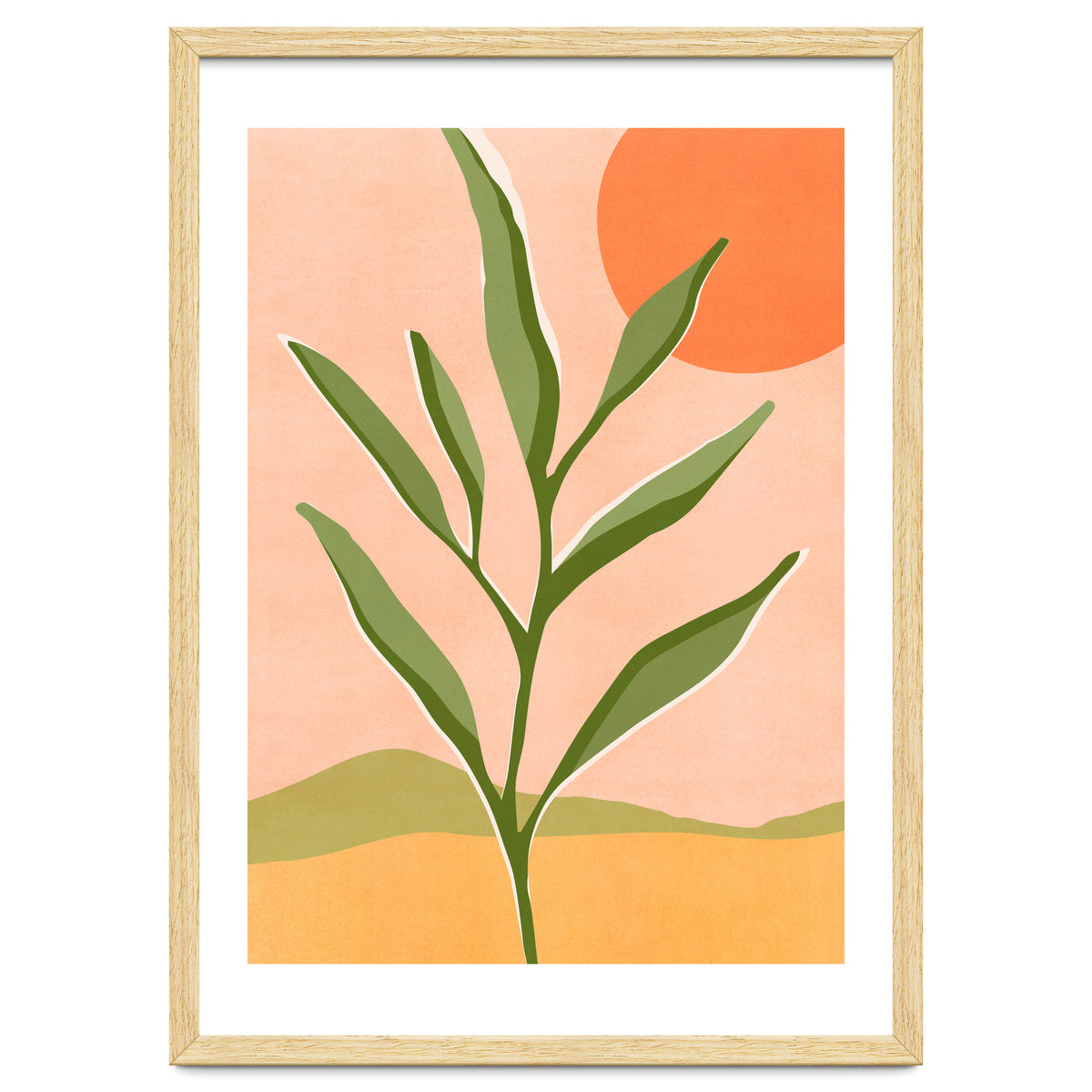 The Sun and The Succulent