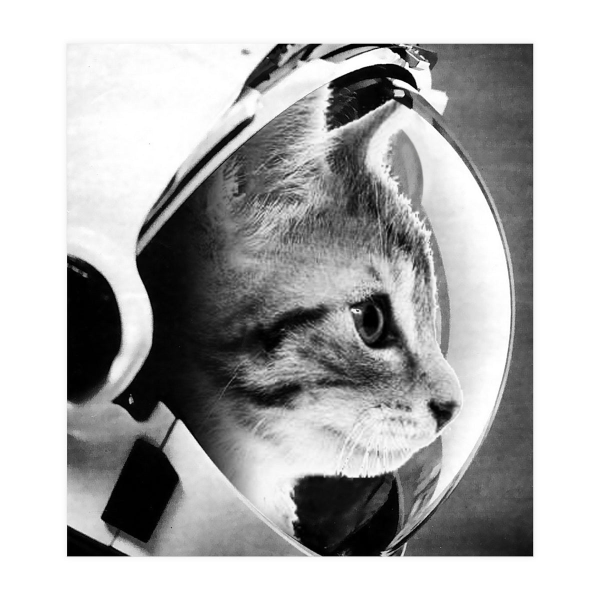 Astrocat (Print Only)