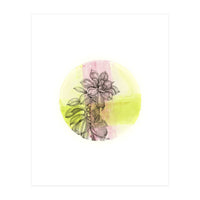 Succulent On Pink And Green (Print Only)